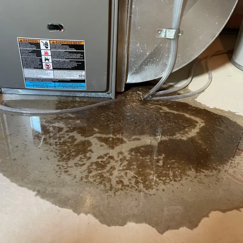 Appliance Leak Cleanup in Garden City, MO