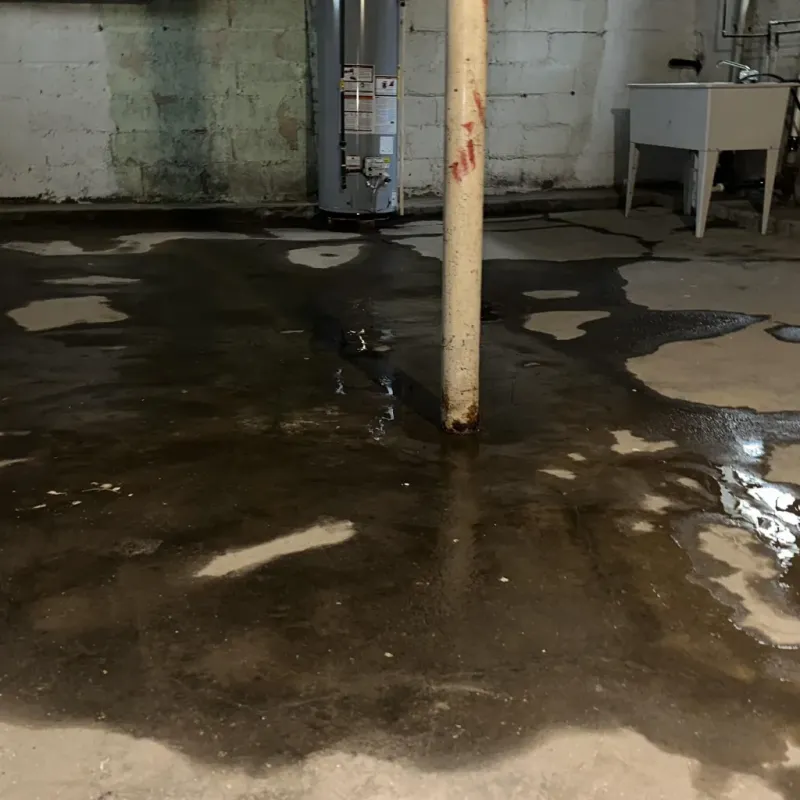 Emergency Water Extraction And Removal in Garden City, MO
